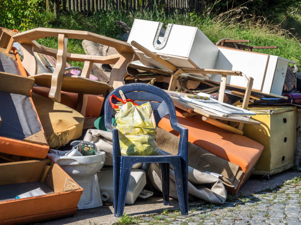 Yard Cleanup Services in Canyon Lake, CA